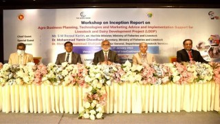 উৎপাদনশীলতা বৃদ্ধি ও প্রাণিজাত পণ্যের বহুমুখীকরণে গুরুত্ব দিচ্ছে সরকার: মৎস্য ও প্রাণিসম্পদ মন্ত্রী উৎপাদনশীলতা বৃদ্ধি ও প্রাণিজাত পণ্যের বহুমুখীকরণে গুরুত্ব দিচ্ছে সরকার: মৎস্য ও প্রাণিসম্পদ মন্ত্রী