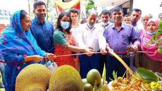 পলাশে তিন দিনব্যাপী ফল মেলা শুরু