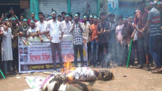 বেলাবতে ছাত্রলীগের বিক্ষোভ, বিএনপির দুই নেতার কুশপুত্তলিকা দাহ