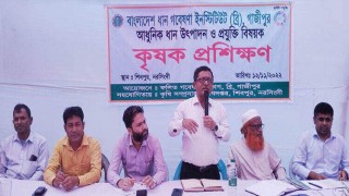 শিবপুরে আধুনিক ধান উৎপাদন ও প্রযুক্তি বিষয়ক কৃষক প্রশিক্ষণ