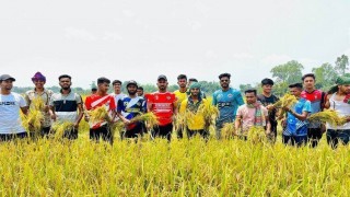 মনোহরদীতে দরিদ্র কৃষকের ধান কেটে ঘরে তুলে দিলো ছাত্রলীগ