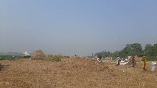 তাপপ্রবাহ শংকা, বৃষ্টির দেখা মিলবে না আগামী ১০ দিন