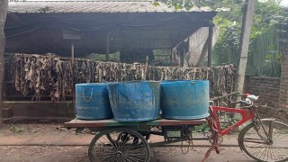 আবাসিক এলাকায় পোল্ট্রি খামার, বিষ্ঠার দুর্গন্ধে টিকতে পারছেন না এলাকাবাসী