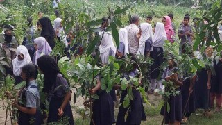 শোক দিবসে শিক্ষার্থীরা বিনামূল্যে পেল ফলজ, বনজ ও ঔষুধি গাছের চারা