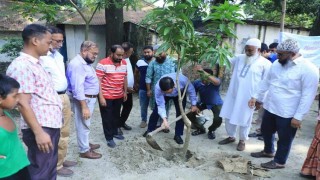 নরসিংদী বুদ্ধি প্রতিবন্ধী ও অটিস্টিক বিদ্যালয়ে বৃক্ষরোপণ
