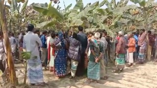 মনোহরদীতে কলাবাগান থেকে অটোরিকশা চালকের মরদেহ উদ্ধার