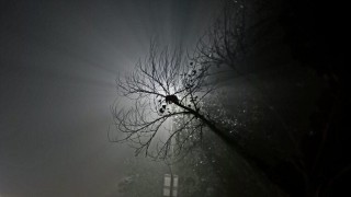 মৃদু শৈত্যপ্রবাহ অব্যাহত থাকতে পারে