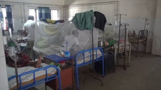 নরসিংদীতে এক ডেঙ্গুরোগীর মৃত্যু, বাড়ছে শনাক্তের সংখ্যা