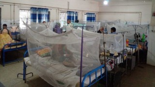 নরসিংদীতে আরও ৪ জনের ডেঙ্গু শনাক্ত