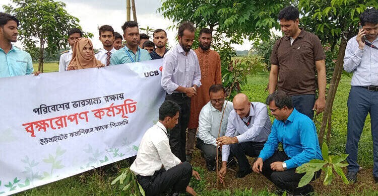 পরিবেশের ভারসাম্য রক্ষায় শিবপুরে বৃক্ষরোপণ কর্মসূচি পরিবেশের ভারসাম্য রক্ষায় শিবপুরে বৃক্ষরোপণ কর্মসূচি