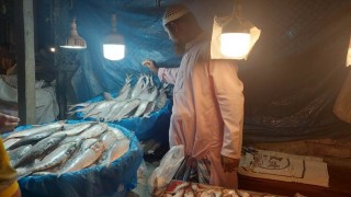 নরসিংদীর বাজারগুলোতে বাড়ছে  মাছের দাম