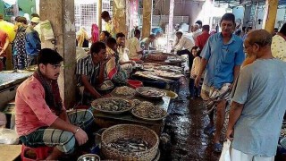 নরসিংদীতে বাড়তি দামেই বিক্রি হচ্ছে মাছ, মুরগীসহ নিত্যপণ্য