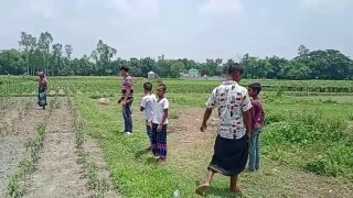 রায়পুরায় মহিষের আক্রমণে কৃষক দম্পত্তি গুরুতর আহত