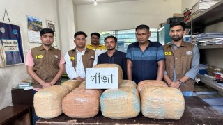 শিবপুরে ৫০ কেজি গাঁজাসহ দুইজন আটক শিবপুরে ৫০ কেজি গাঁজাসহ দুইজন আটক