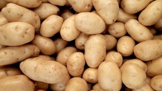 দুই দিনের অবরোধে আমদানির আলু আটকে গেল স্থলবন্দরে