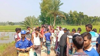 শিবপুরে ধান ক্ষেতে বিভাটেক চালকের গলাকাটা মরদেহ