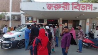 নরসিংদীতে পৃথক সড়ক দুর্ঘটনায় নিহত ২, আহত ১