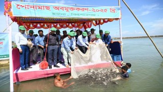 কৃষিতে অতিরিক্ত বালাইনাশক ব্যবহারের ফলে হাওরের মৎস্য সম্পদ ক্ষতির সম্মুখীন