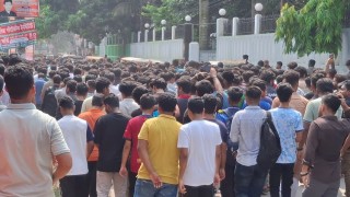 নরসিংদীতে শিক্ষা উপদেষ্টার পদত্যাগের দাবিতে বিক্ষোভ নরসিংদীতে শিক্ষা উপদেষ্টার পদত্যাগের দাবিতে বিক্ষোভ