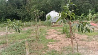 রায়পুরায় ৭ বছর পর নদী খননের মাটি বিক্রির নিলাম, বিপাকে কৃষকরা রায়পুরায় ৭ বছর পর নদী খননের মাটি বিক্রির নিলাম, বিপাকে কৃষকরা