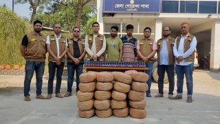 মহাসড়কে ১২০ কেজি গাঁজা ও ১৩০ বোতল ফেন্সিডিলসহ ২ জন গ্রেপ্তার