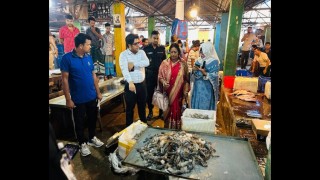 নরসিংদীতে চিংড়ি মাছে জেলি প্রবেশ করানোর দায়ে ৫০ হাজার টাকা অর্থদণ্ড